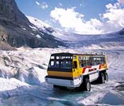 Columbia Icefield tours